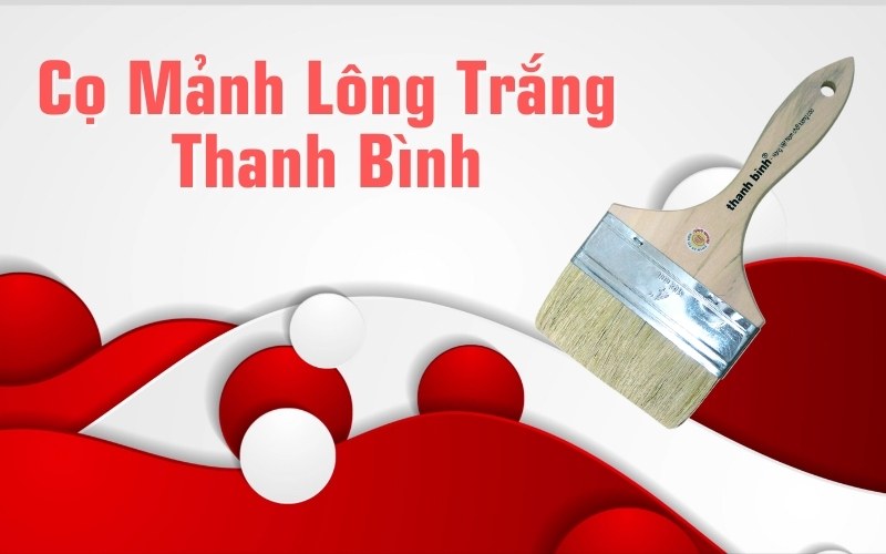 cọ mảnh lông trắng thanh bình