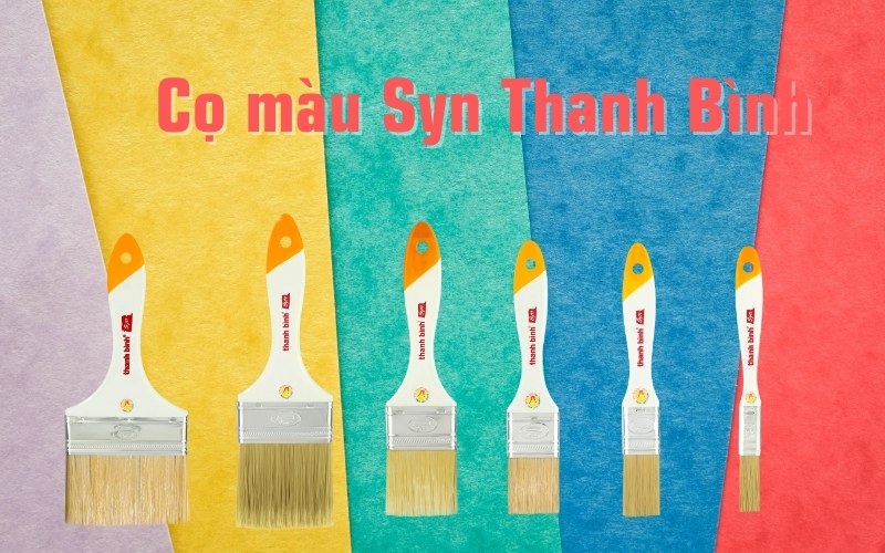 cọ màu syn thanh bình