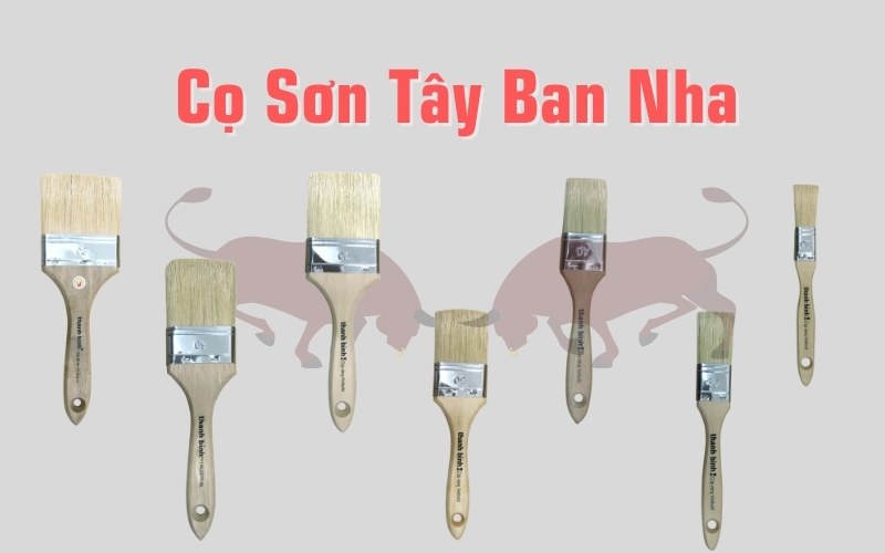cọ sơn tây ban nha