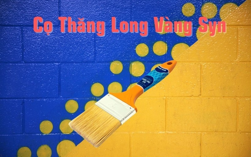 cọ thăng long vàng syn