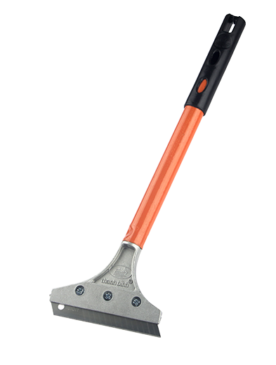 Cây Sủi Tường: Bí Quyết Làm Sạch và Tân Trang Ngôi Nhà Của Bạn