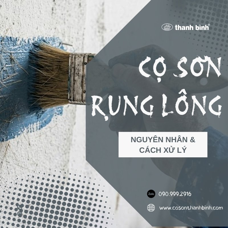 Cọ sơn rụng lông nguyên nhân & cách xử lý